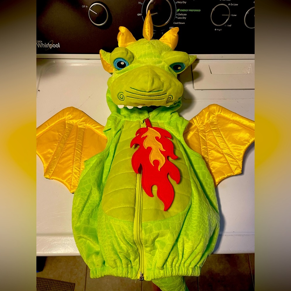 Super cute dragon costume!
